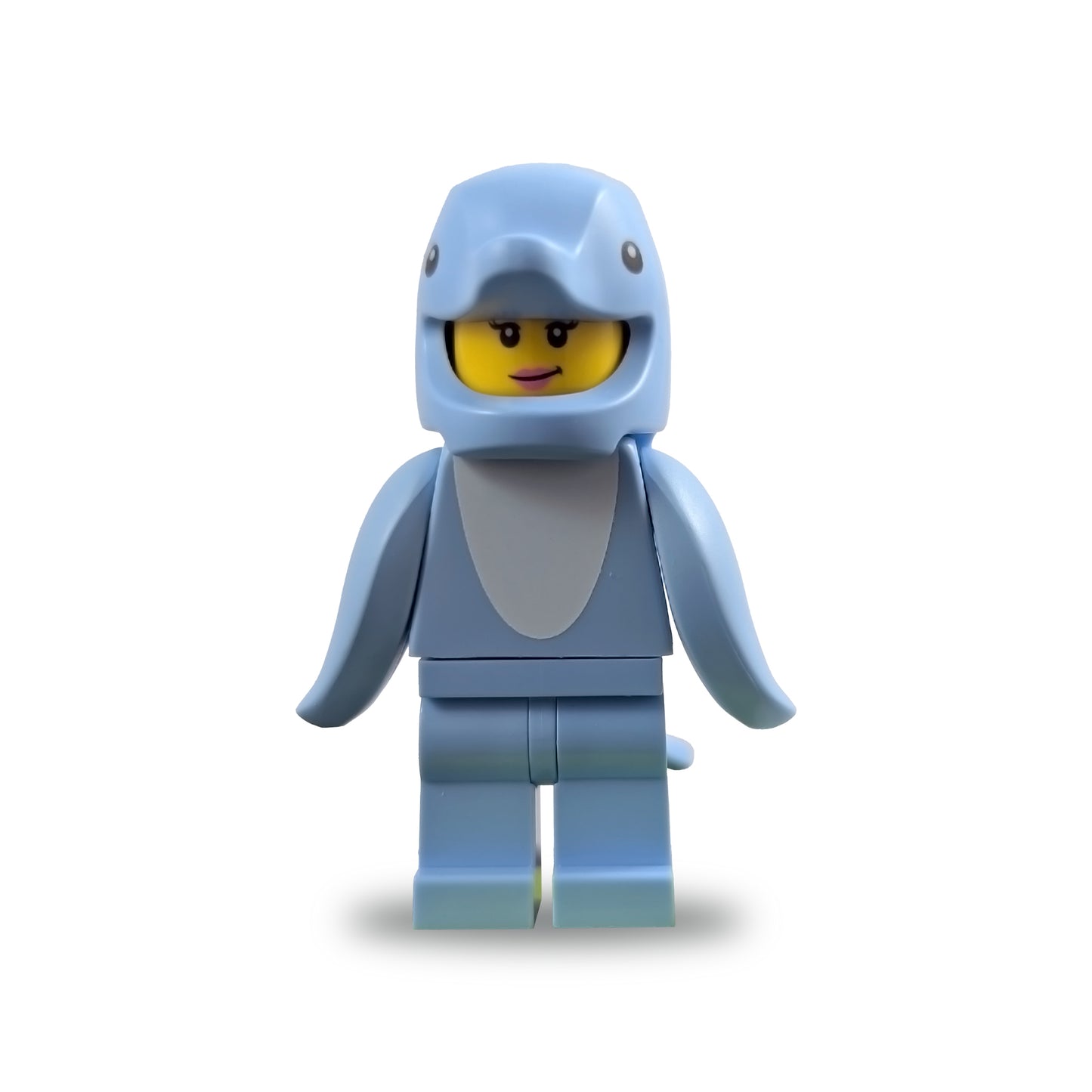 Dolphin Costume (Series 28)
