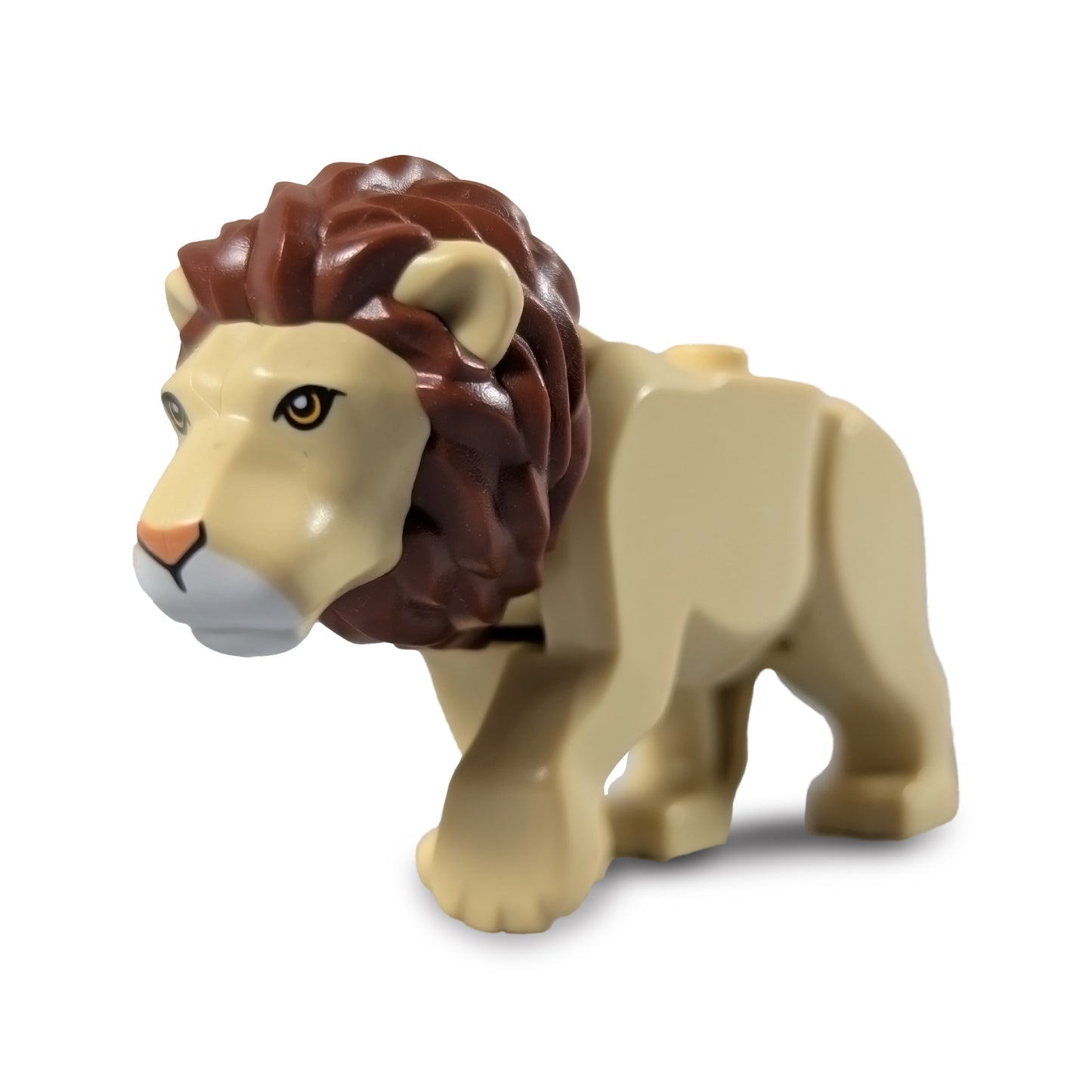 Lion (2021)