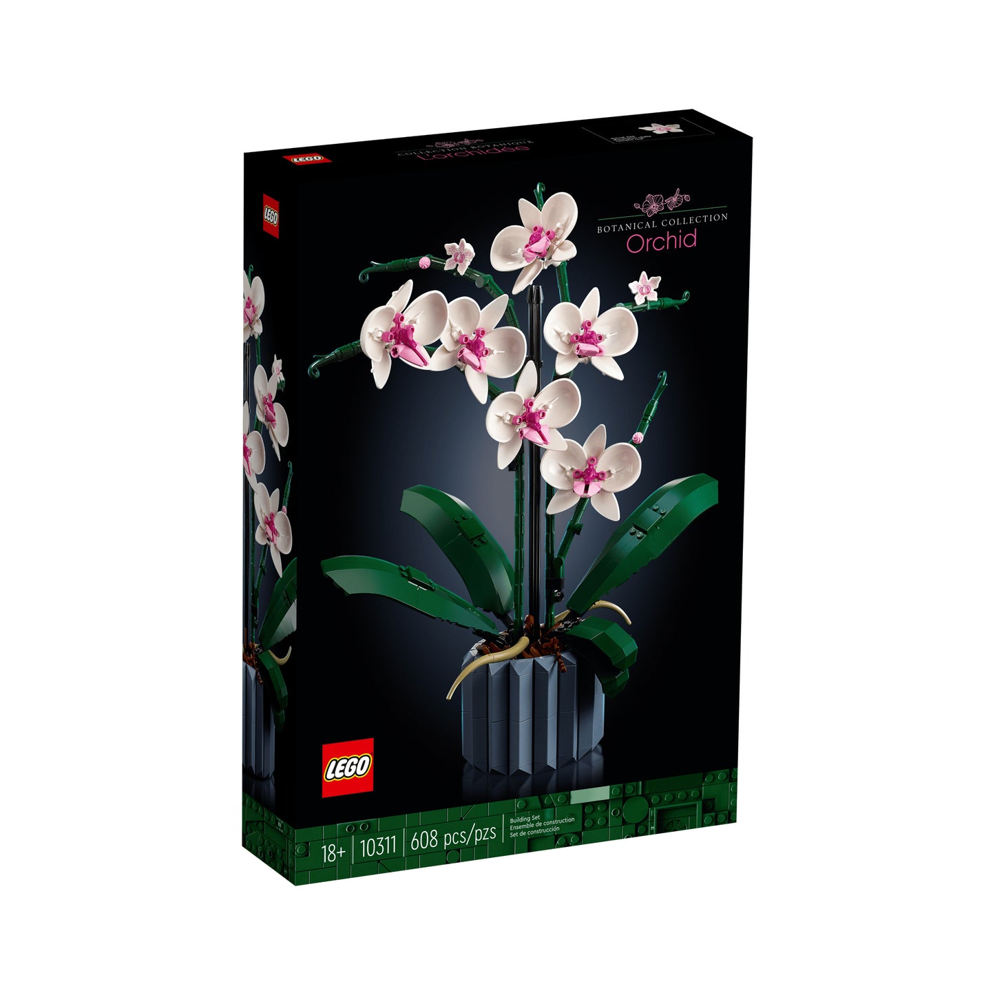 Orchid (10311)