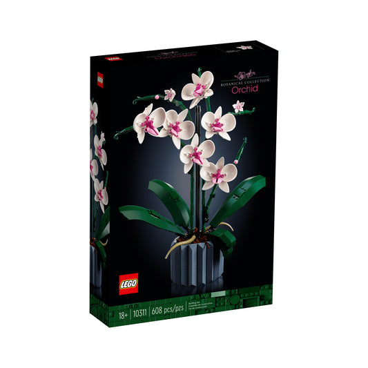 Orchid (10311)