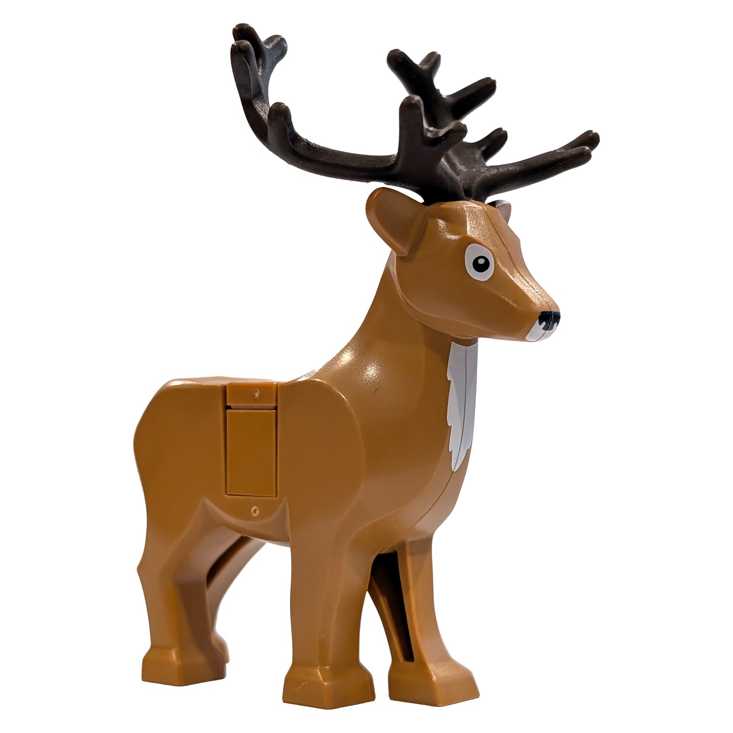 Deer (2020)