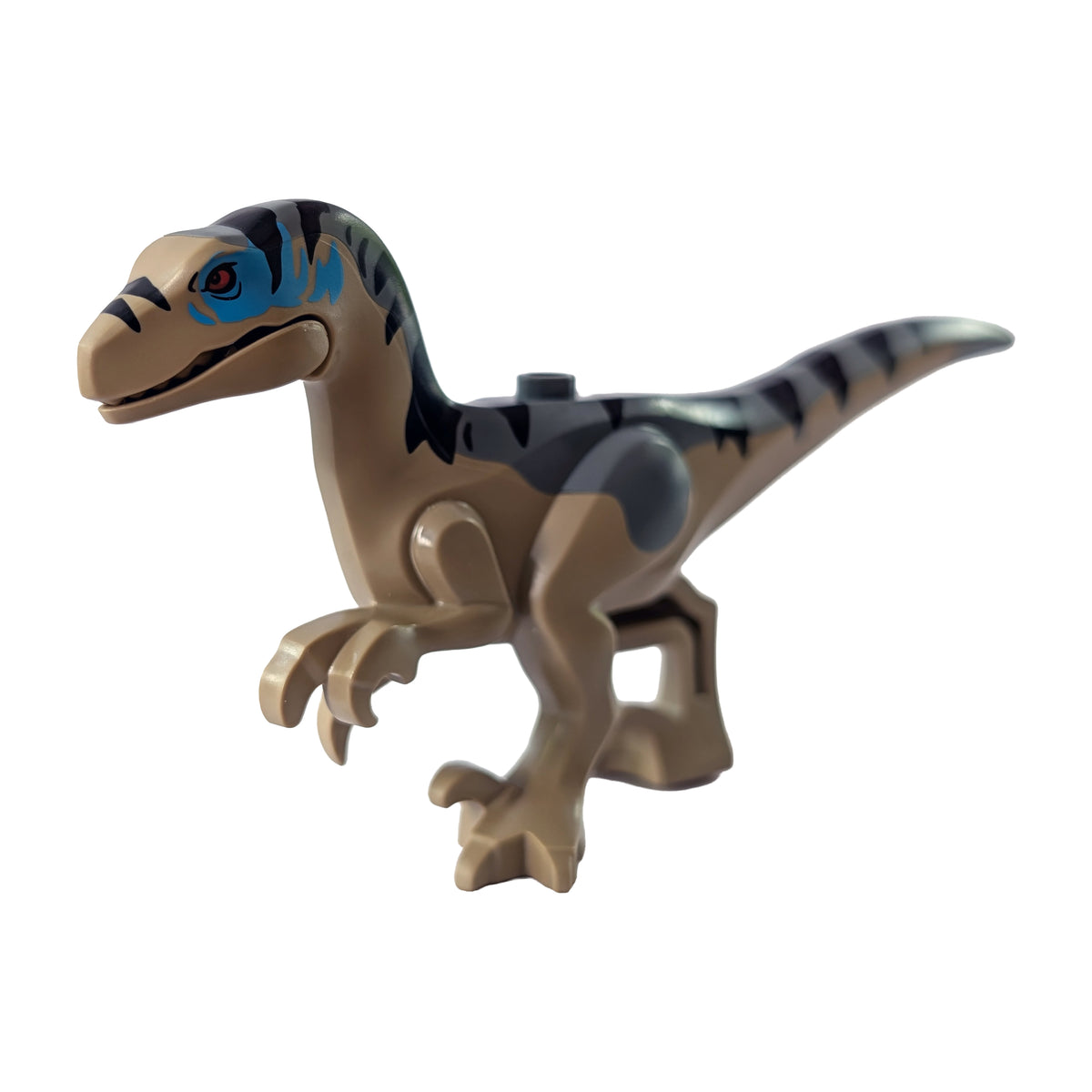 Velociraptor (2025)